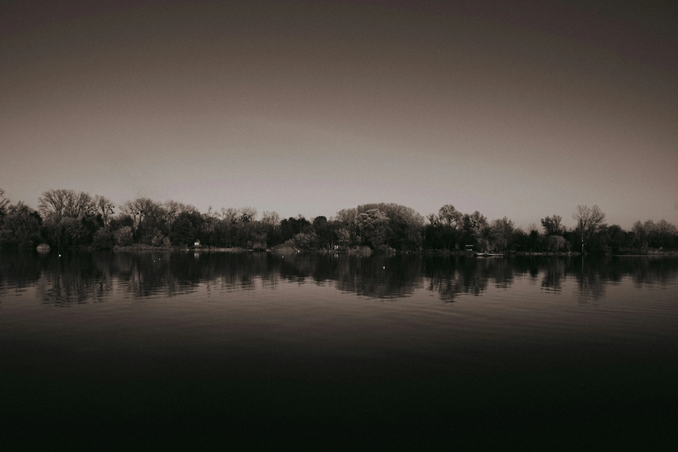 trees reflecting in the water on an overcast day