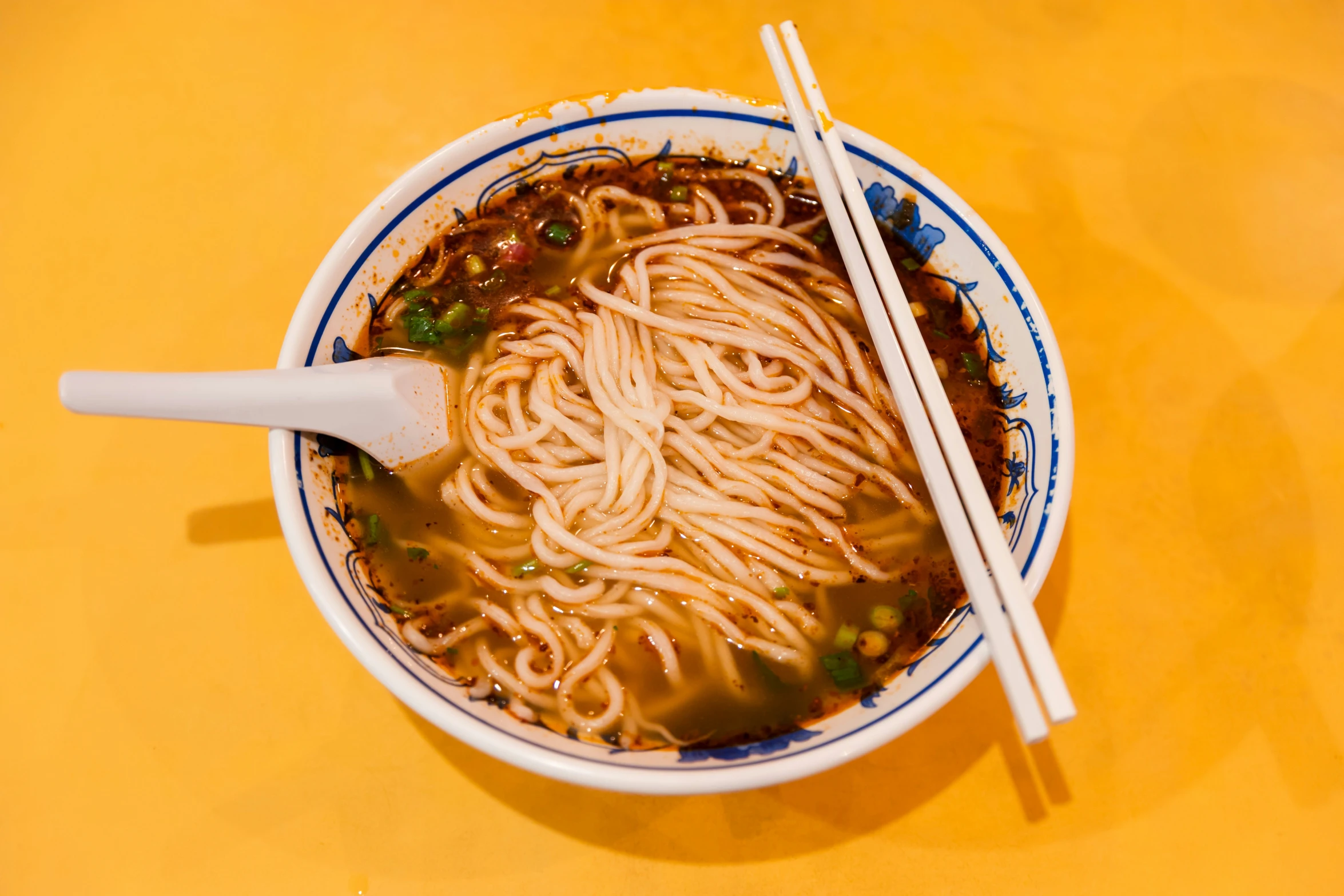 the bowl of soup has noodle and meat