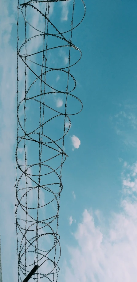 barbed wire wrapped in high grass on top of tall building