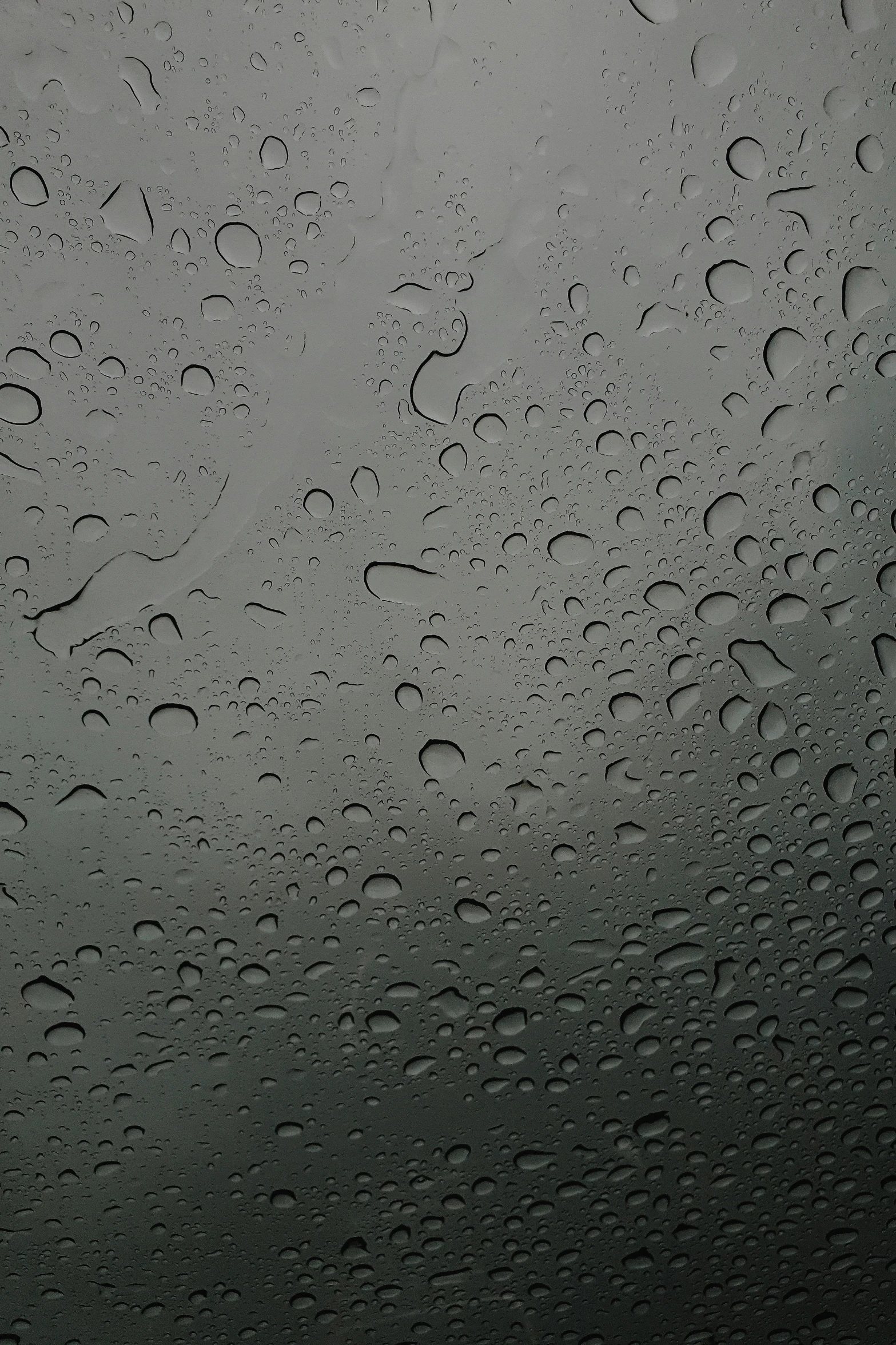 a gray - hued po shows several rows of small droplets on a wet glass surface