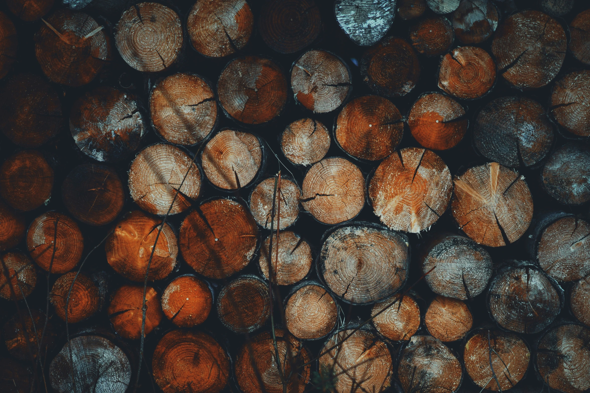 a pograph of wood from above showing the color