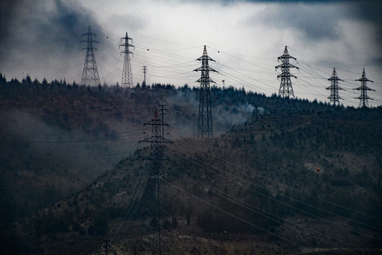 a mountain covered in trees with many telephone poles on top