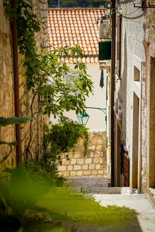 an alleyway leading to the back door of a house