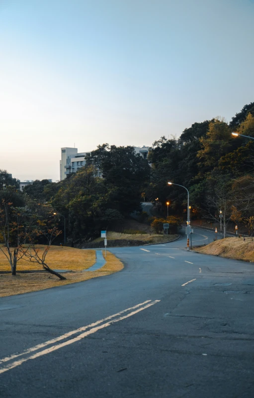 a picture of a street with trees and lights