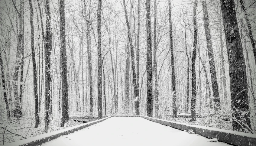 the walkway is covered in snow near a forest