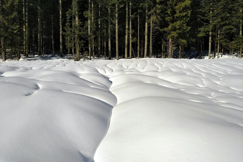 a very pretty snowy hill with trees in the background