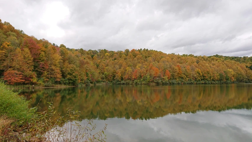 a lake surrounded by trees with leaves on it