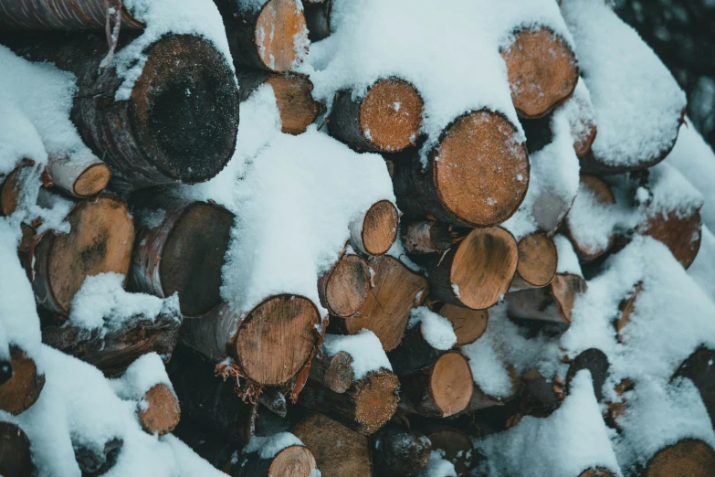 closeup of snow on cut logs stacked together