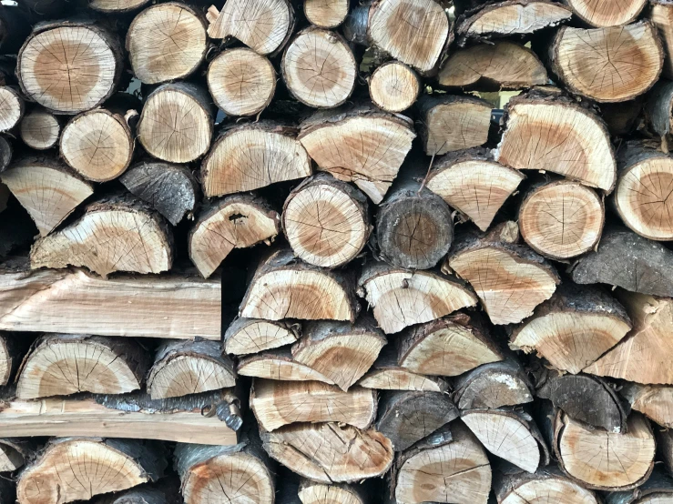 a pile of wood cut and stacked next to each other