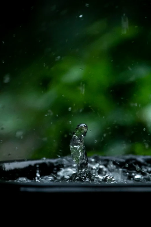 a glass is shown with a small bird in the rain