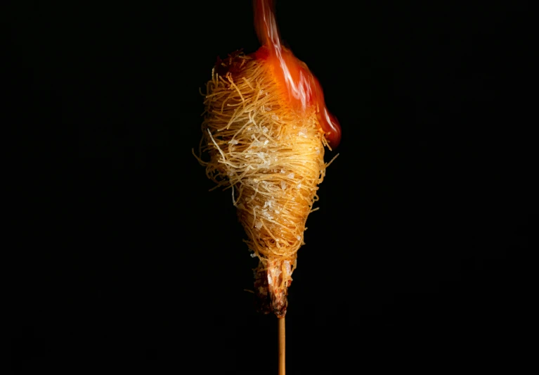 a spaghetti on a wooden stick with tomatoes