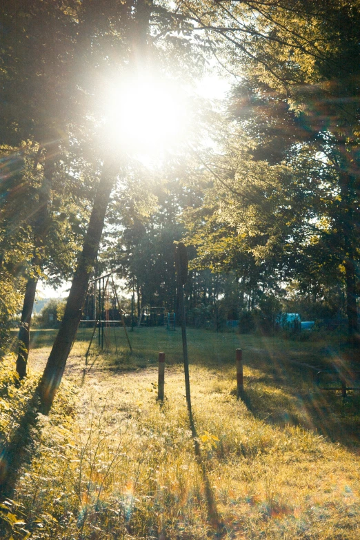 a bright sun shining in the background of some trees