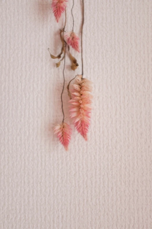 two long thin pink flowers hanging from the side of a wall