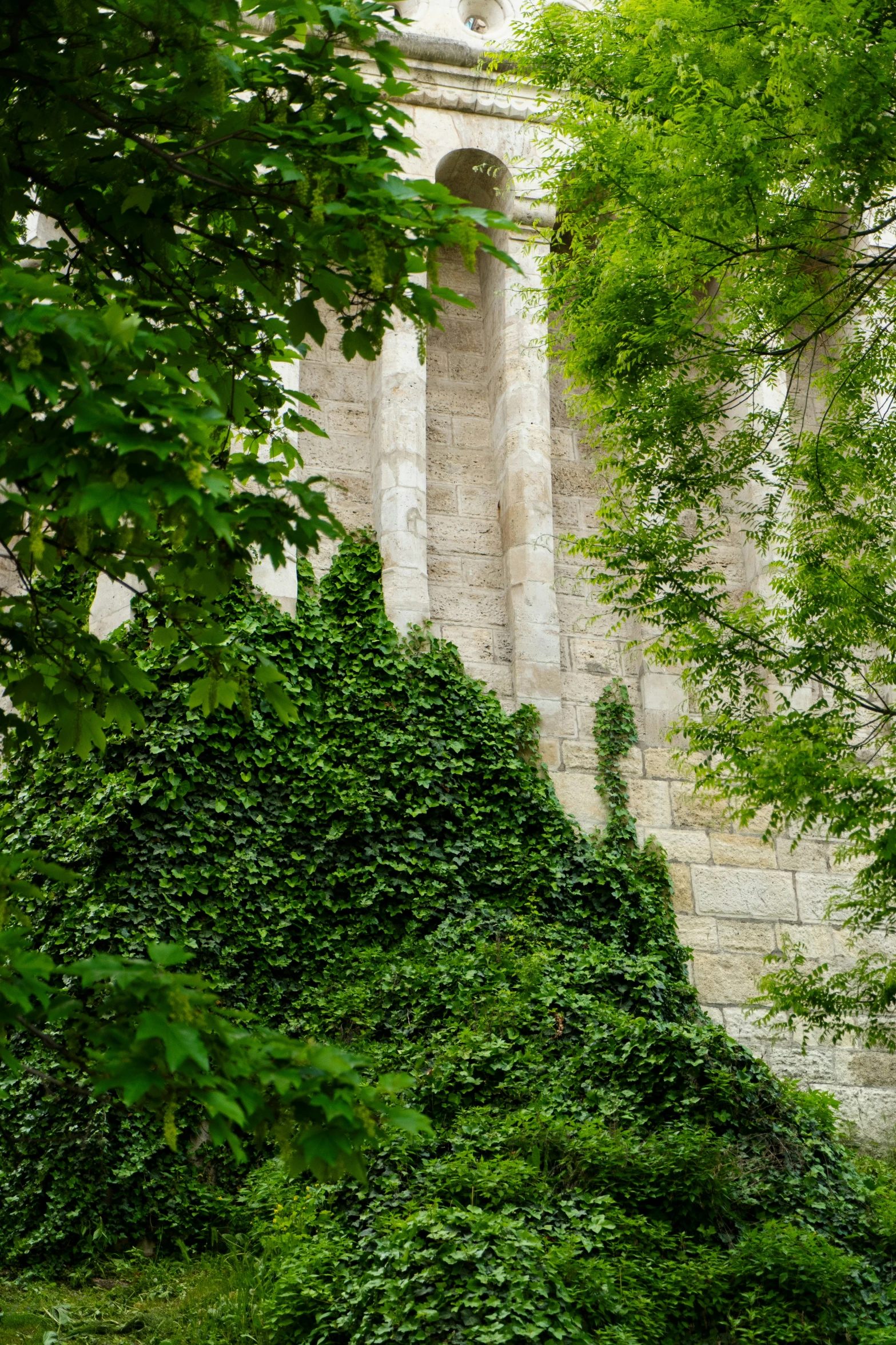 a green wall in front of trees and a clock tower