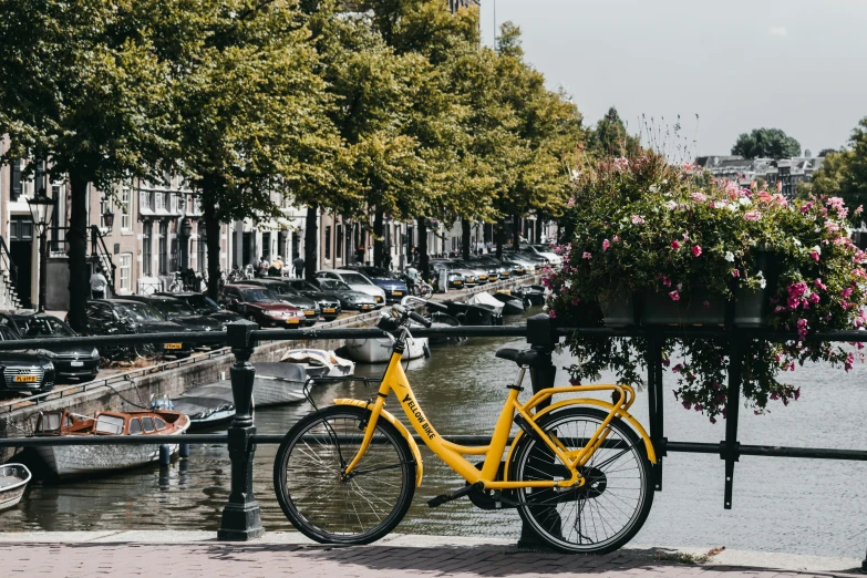 the yellow bike is parked near the flowers on the street