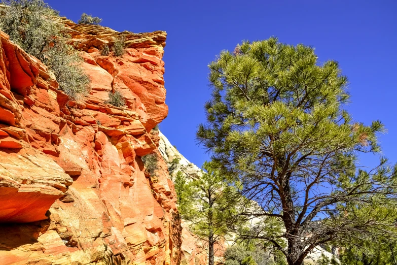 an area with rocks and trees under a blue sky