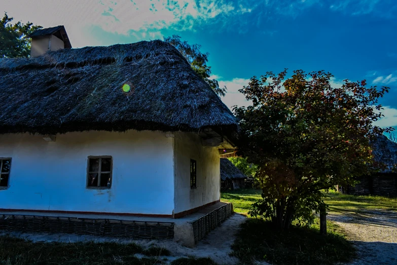 a white and black house with a thatched roof and trees