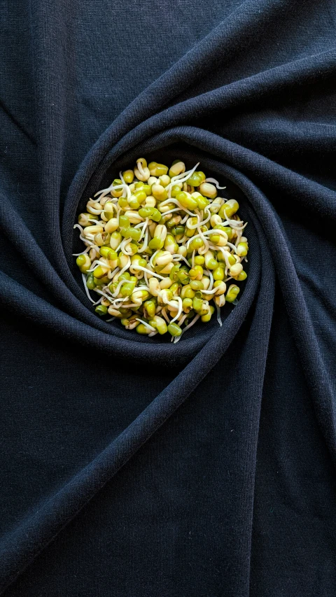 pistachio sprouts lie inside a piece of fabric