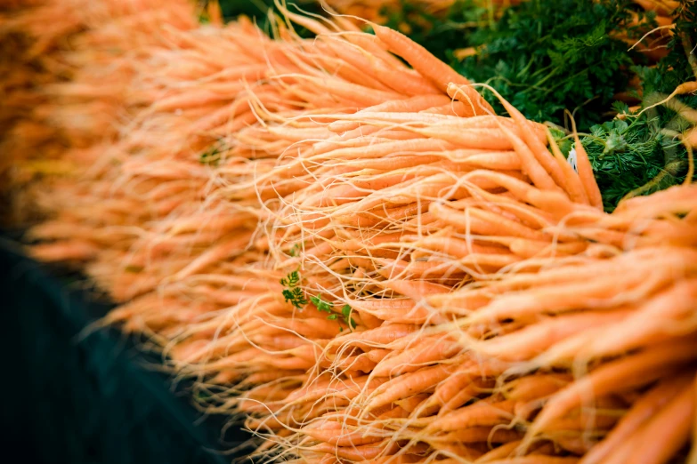 some carrots and lettuce sit together for sale