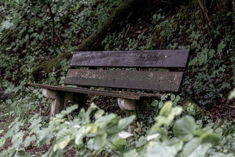 an old park bench sitting near the side of some bushes