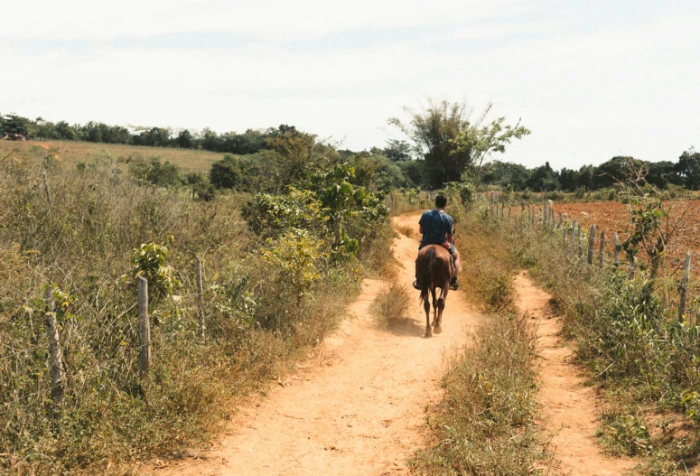 a person riding a horse down a dirt path