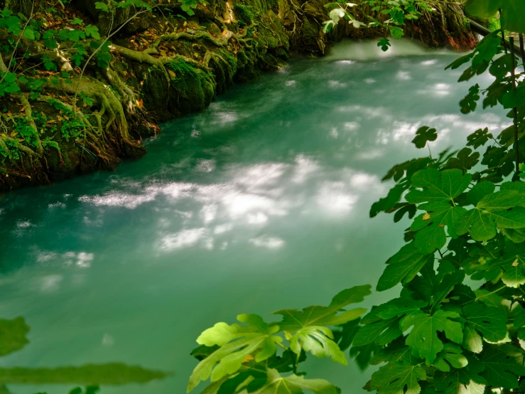 a creek running down a lush green hillside