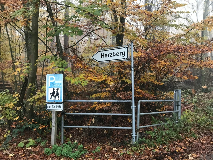 a trail sign sits near the trees near a parking sign