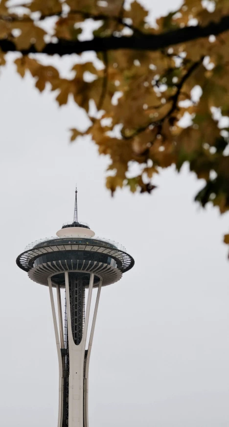 a view of the space needle, a major attraction in seattle