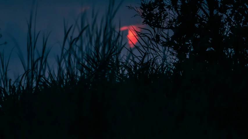 a red and yellow arrow that is glowing in the dark sky