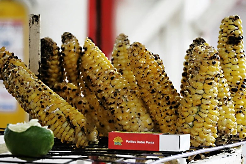 the grill is set with three ears of corn