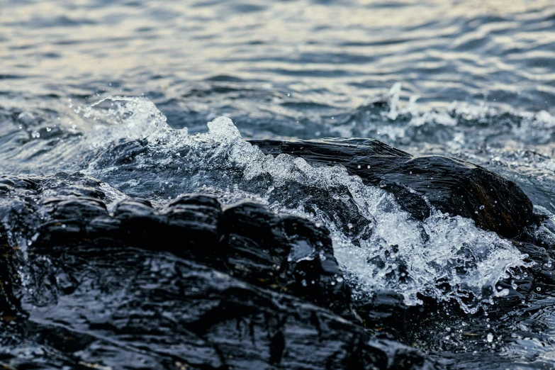 a body of water with some rocks sticking out of it