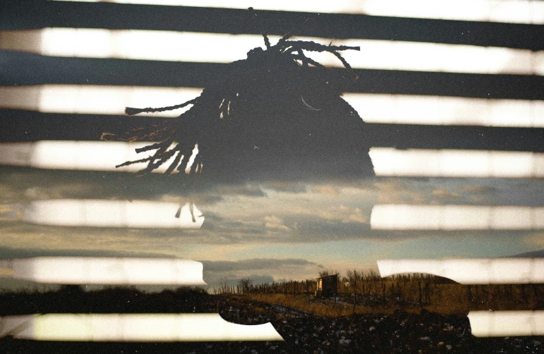 reflection of a black and white po of a man with dreadlocks