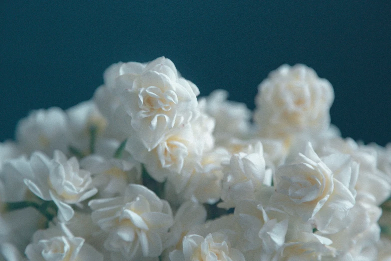 white flowers in a glass vase on table