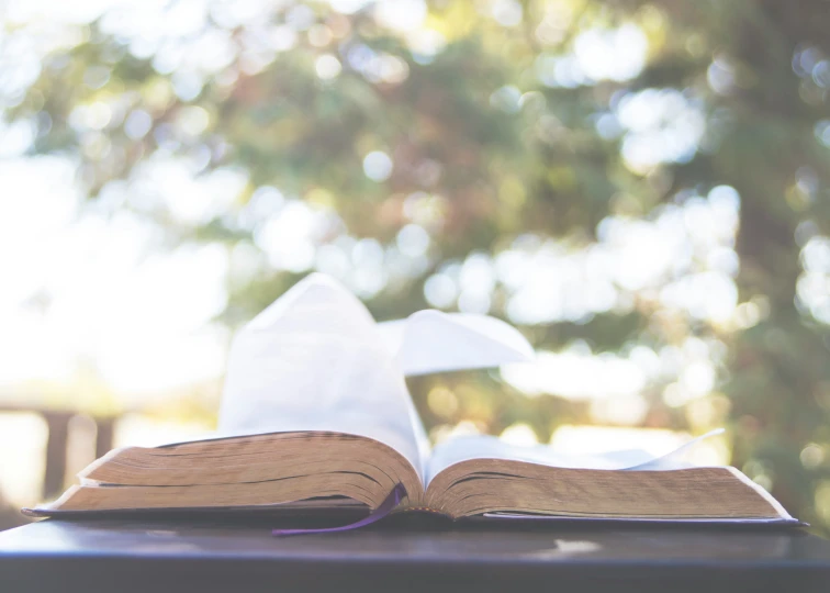 a book with an open page laying on top of a table