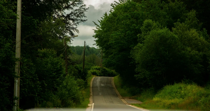 a road lined with trees and traffic lights