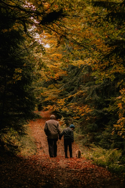 an image of a mother and child walking in the woods