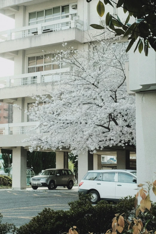 the car is parked in front of the building with many windows