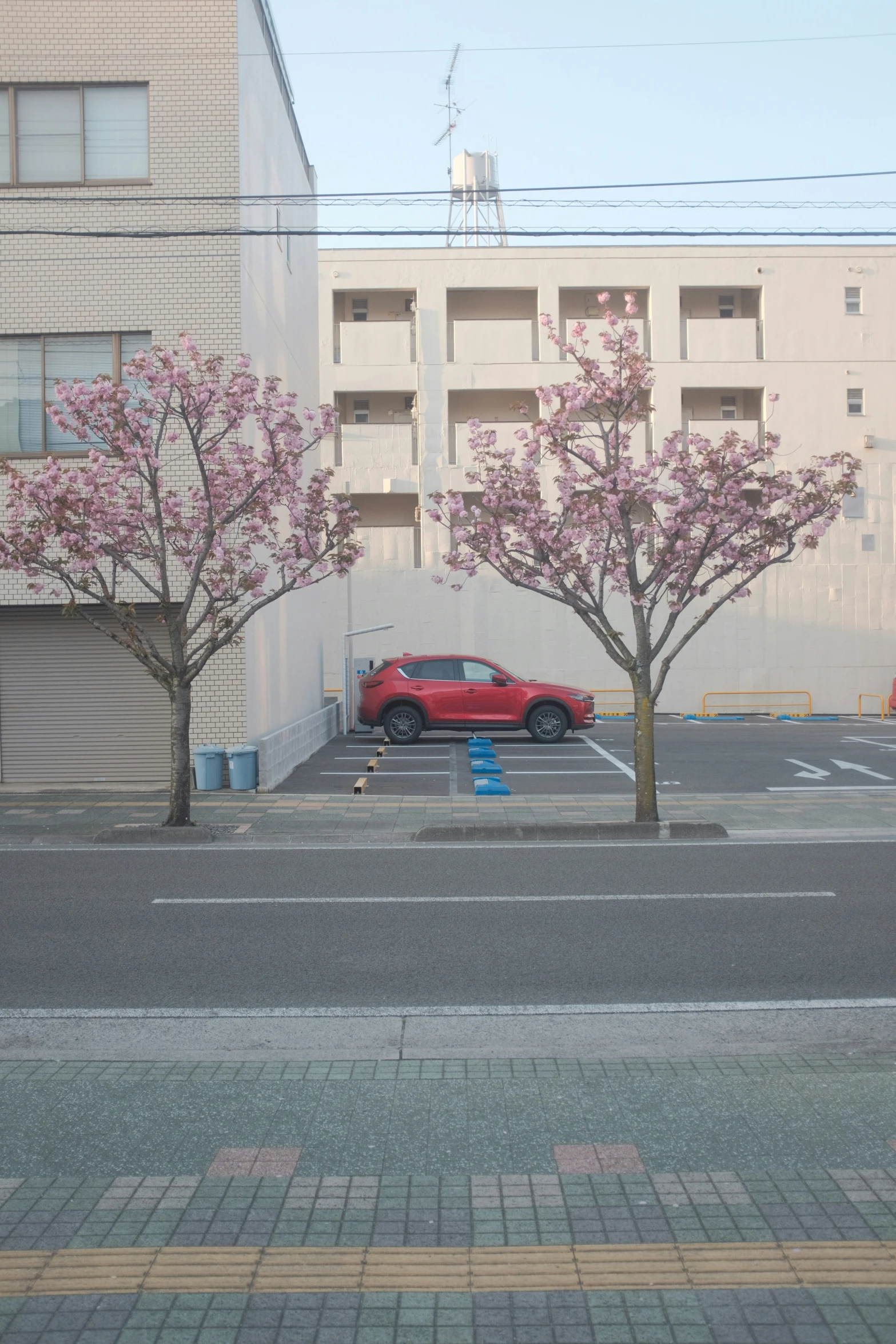 a red car parked in a parking lot with cherry blossoms