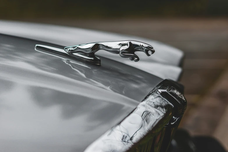 a chrome jaguar hood ornament with a shiny car logo