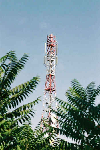 the top of an cellular phone tower with a tree