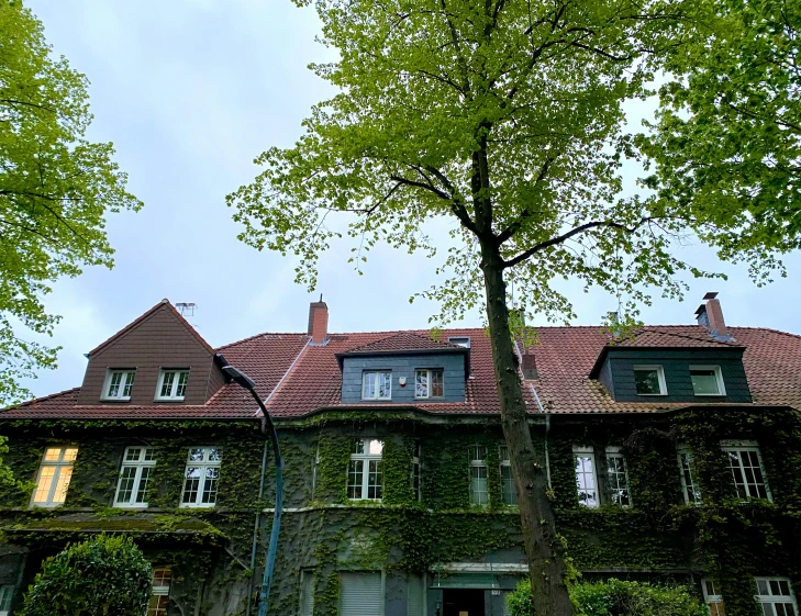 a tall tree next to an old building