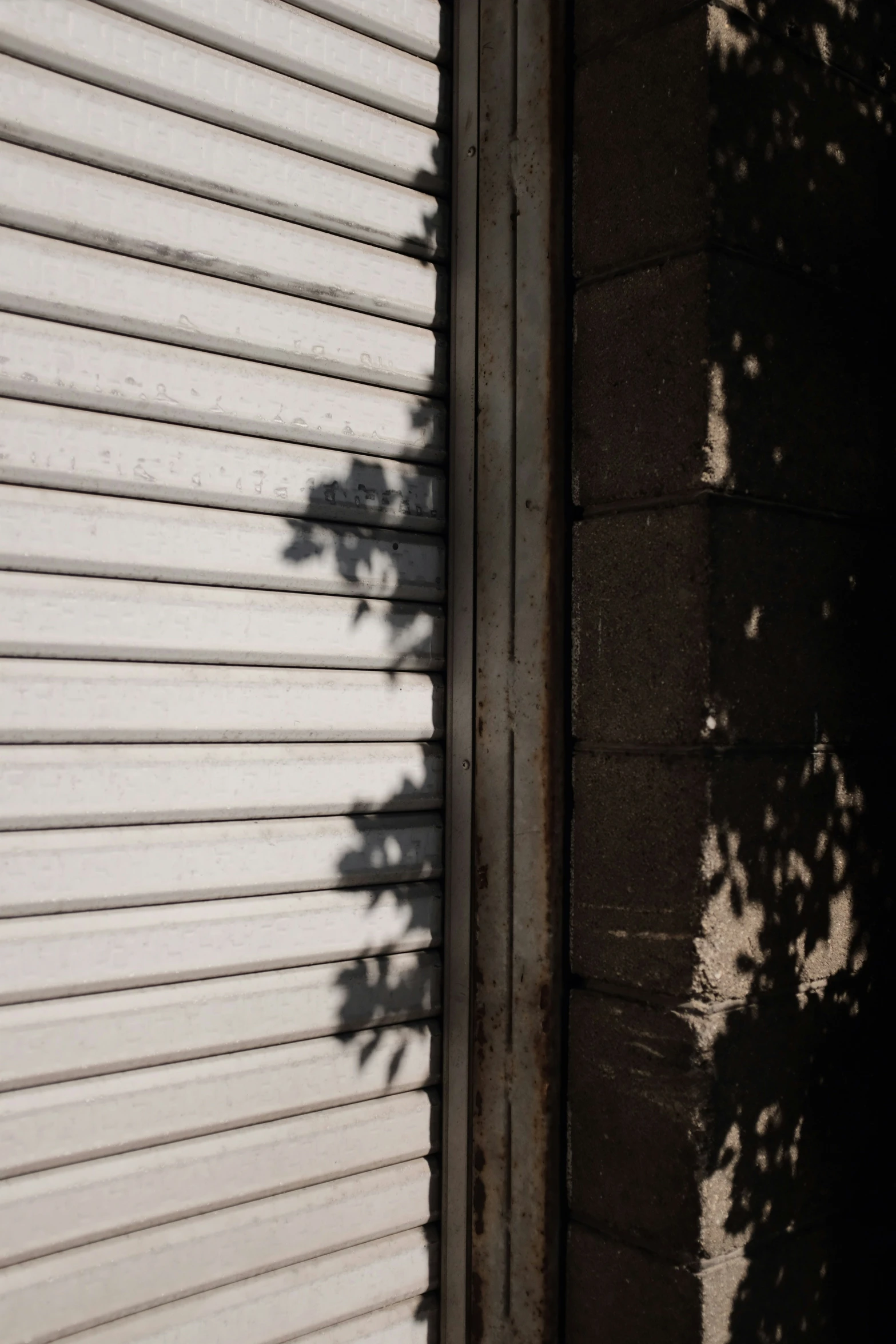 the shadow of the sun on a wall