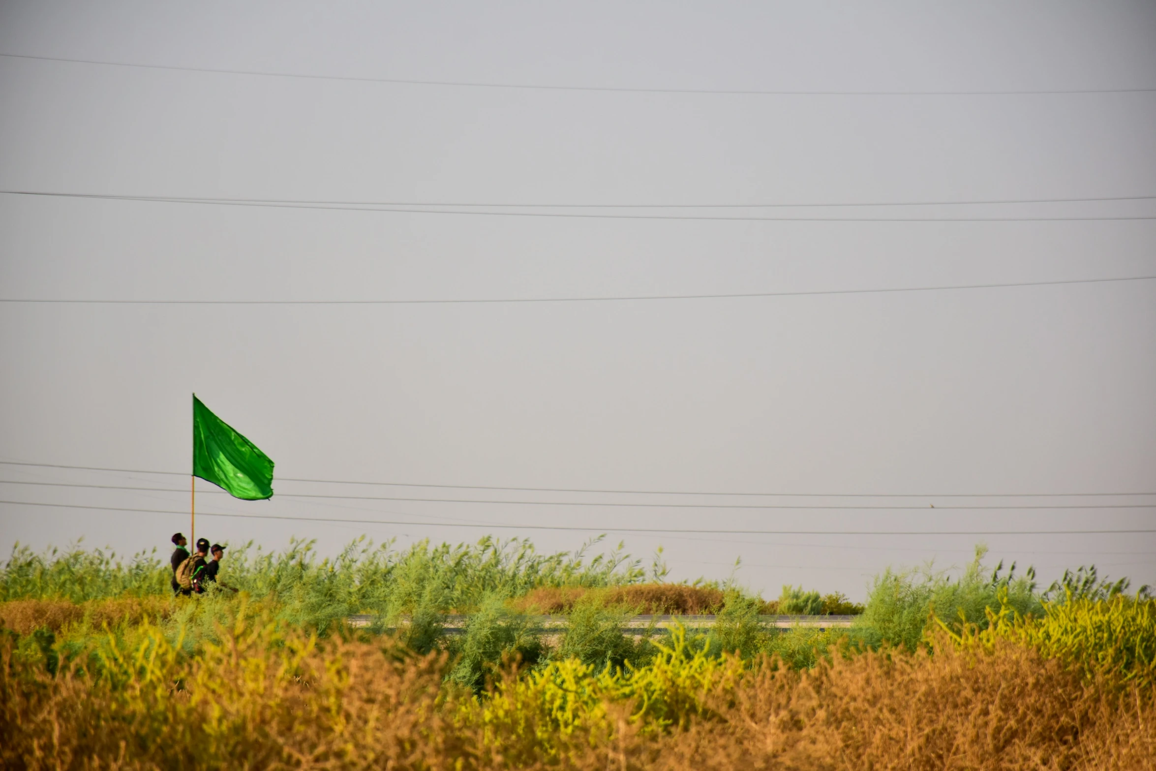 a dog is flying a kite in a field