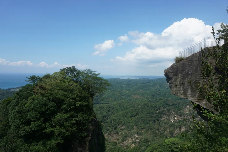 the trees on the cliff have no leaves or nches