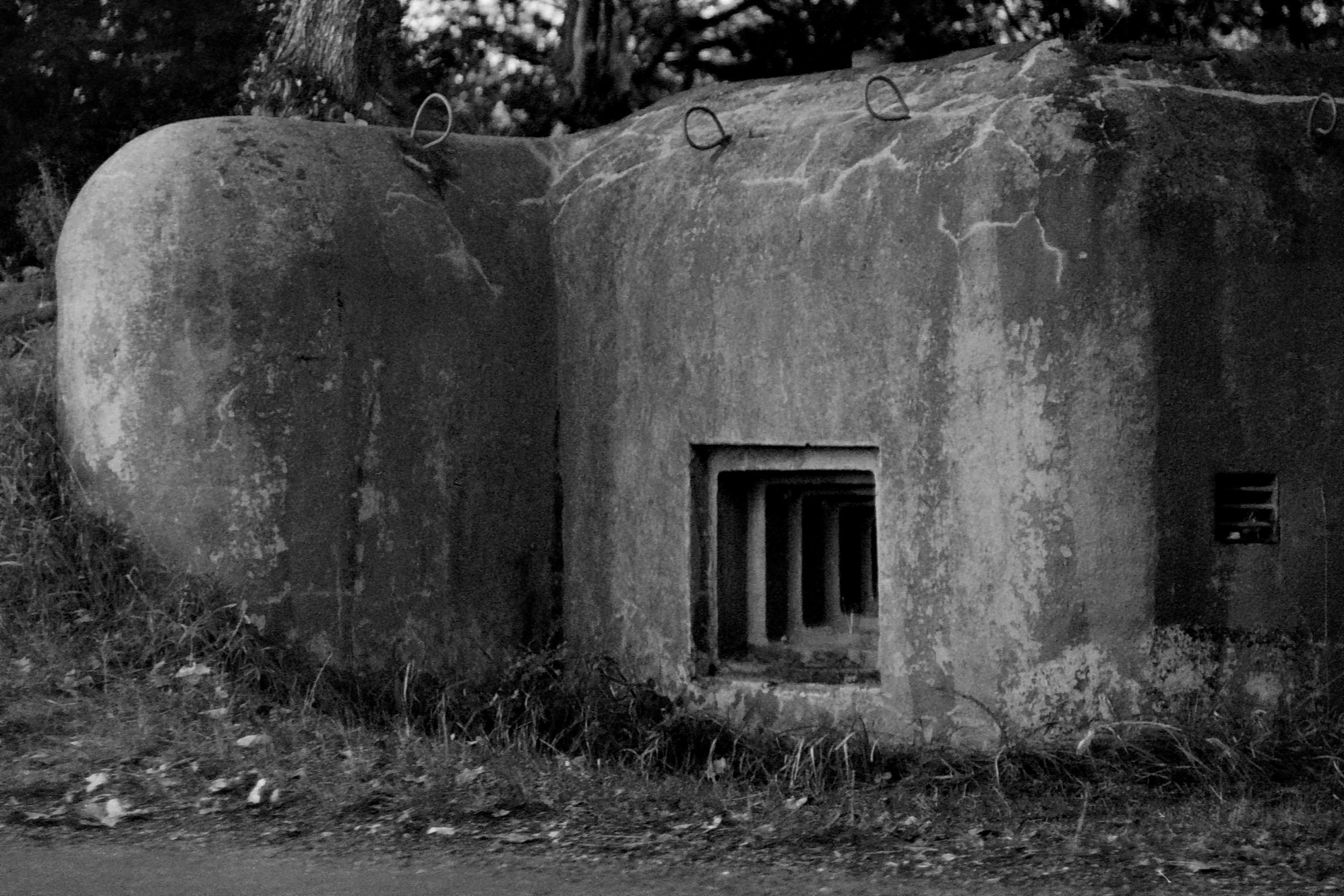 this is an image of black and white pograph of a large rock