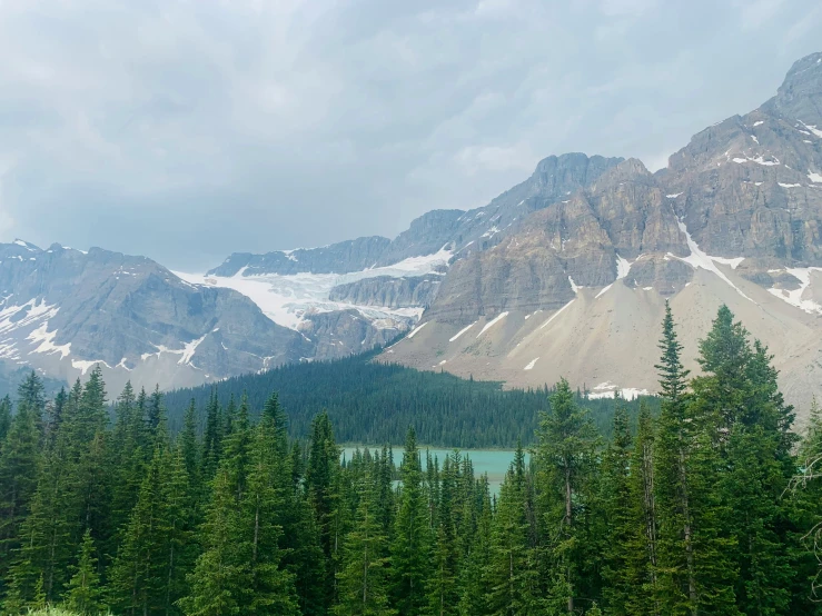 pine trees line the valley and surrounding a mountain range