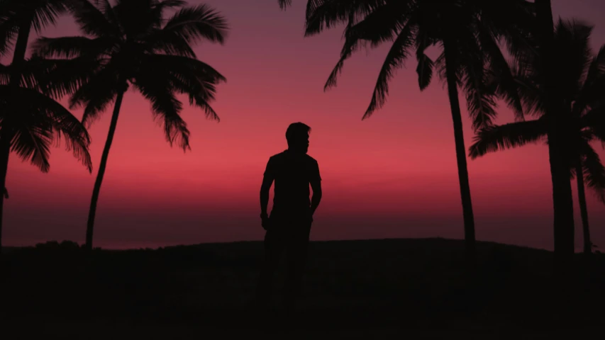 a person standing under palm trees with the sky setting in the background