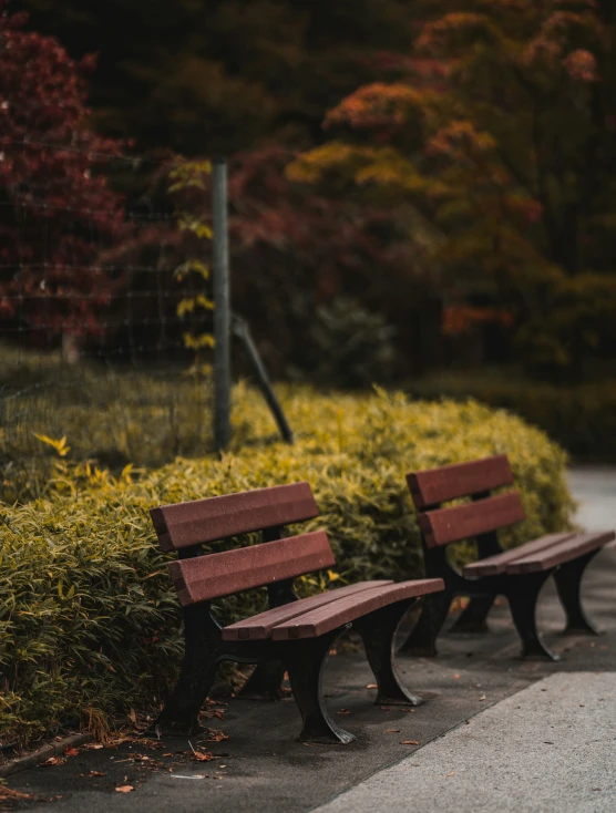 a row of benches sitting on top of a sidewalk