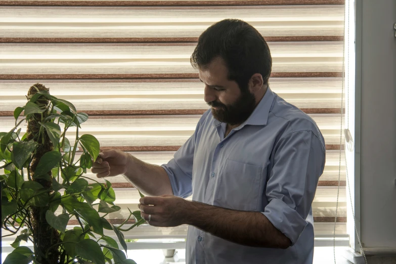 man tending to potted plant in kitchen with blinds open