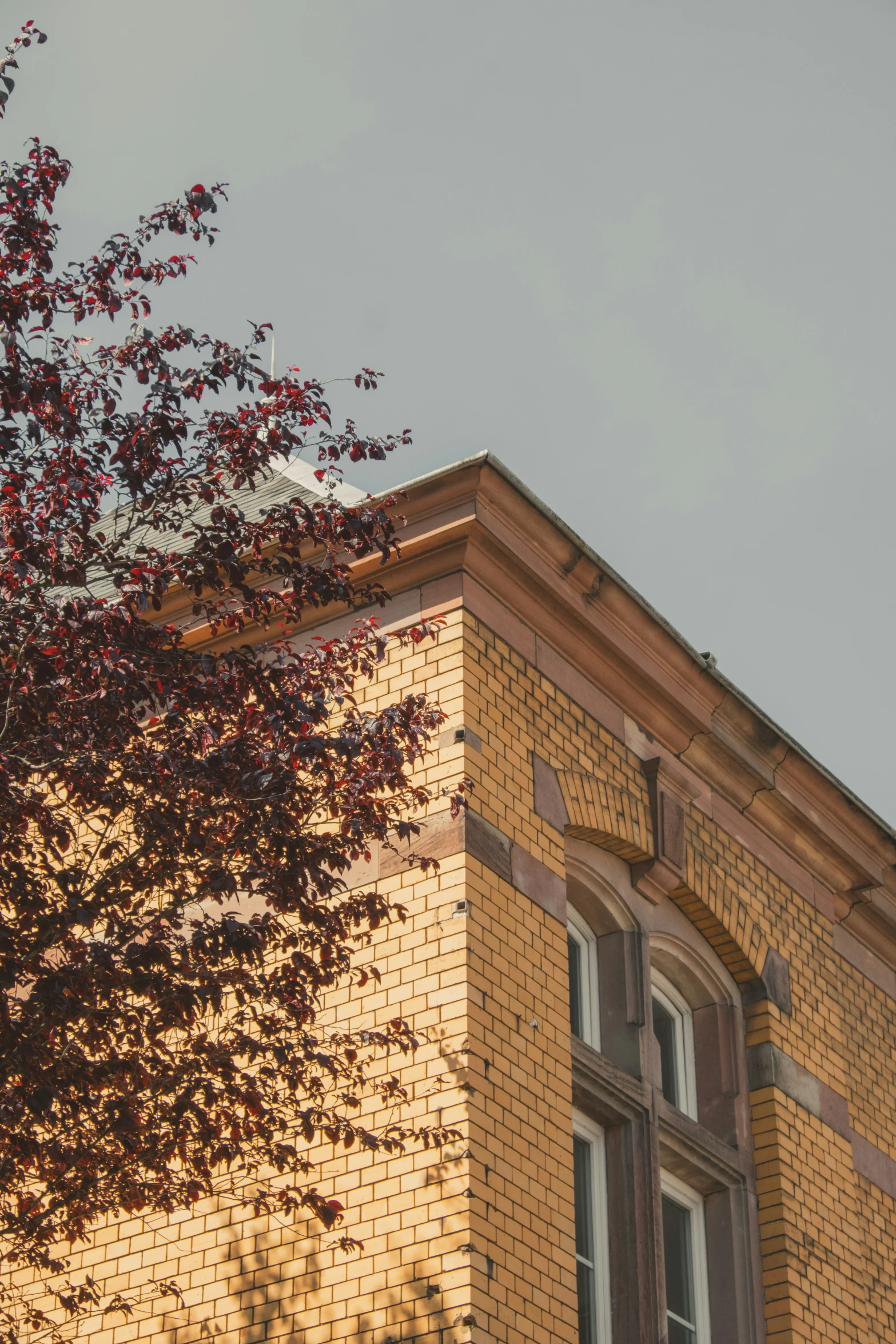 a clock on the side of a building next to a tree